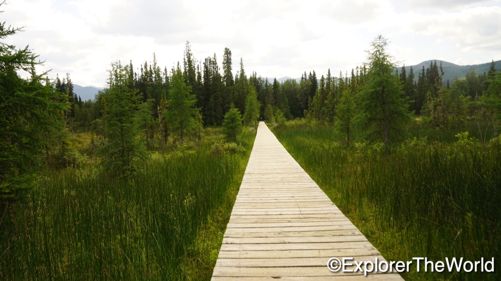 Liard River Hotspings00005