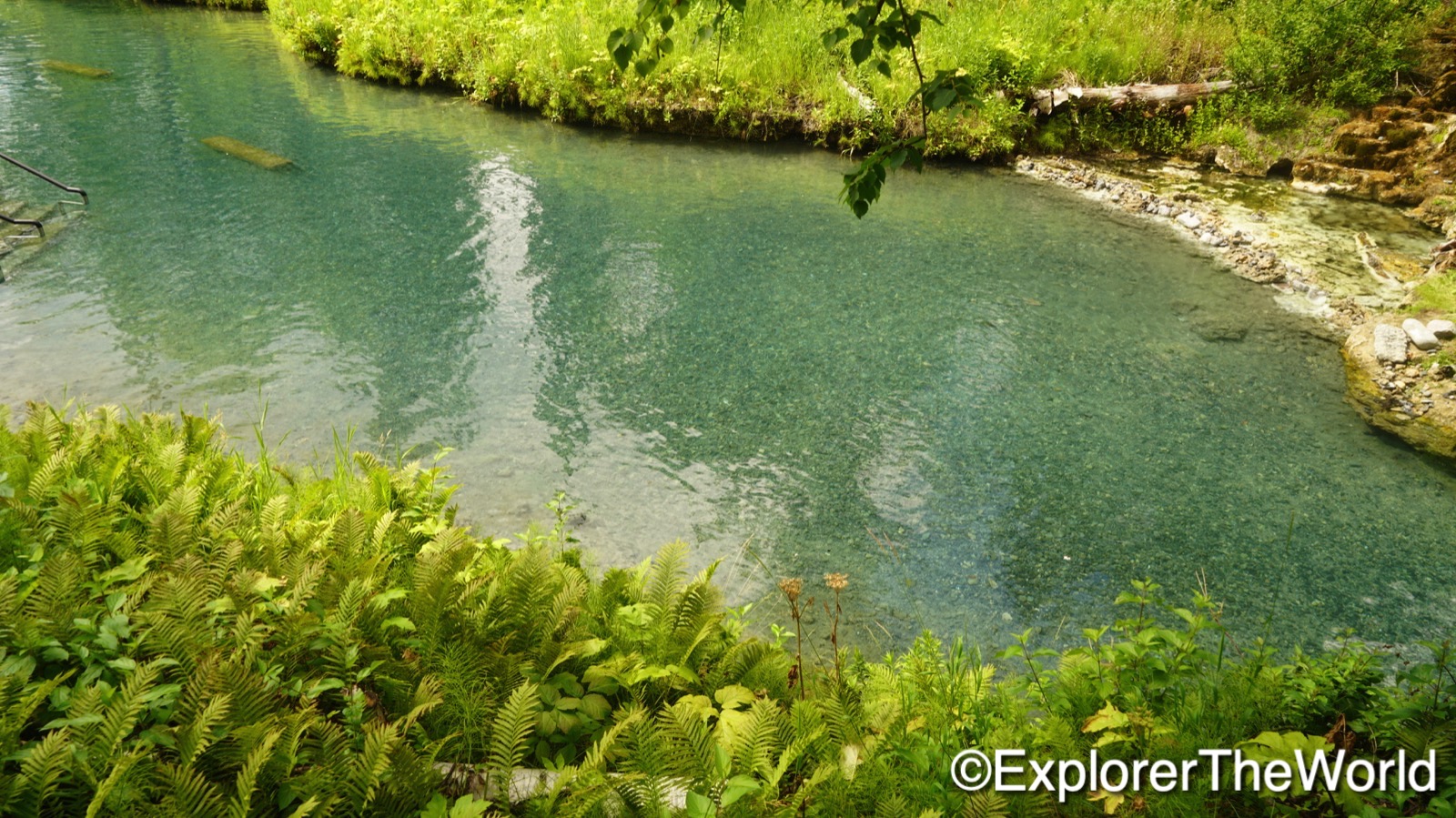 Liard River Hotspings00014