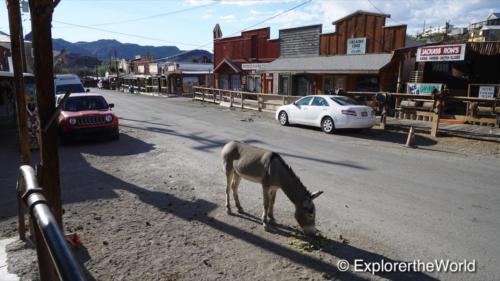 Oatman5