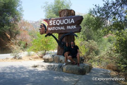 Sequoia1